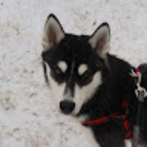 Meet your Posher, Janaye